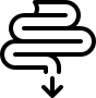 Darm & Mikrobiom