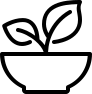 Nebennieren & Nervensystem